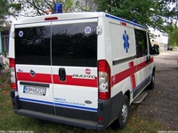 sk102.jpg