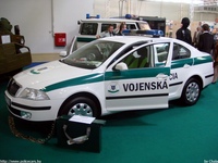sk172.jpg