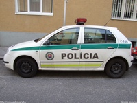 sk231.jpg