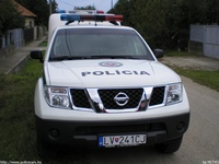 sk313.jpg