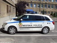Filename=sk392.jpg
Filesize=206KiB
Dimensions=768x576
Date added=Jul 31, 2009 sk392.jpg
