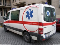 sk489.jpg