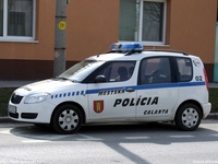sk494.jpg