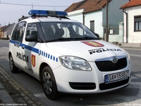sk495.jpg