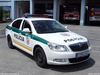 sk676.jpg