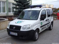sk717.jpg