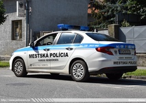 ska003.jpg