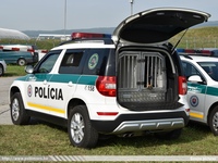 ska037.jpg