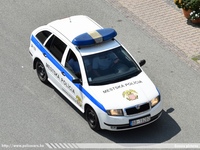 ska094.jpg