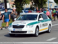 ska099.jpg