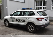 ska137.jpg