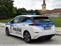 ska142.jpg