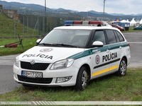 ska165.jpg