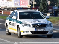 ska166.jpg