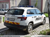 ska260.jpg