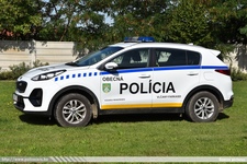 ska263.jpg