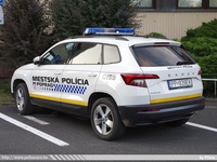 ska342.jpg