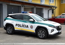 ska438.jpg