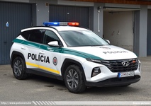 ska440.jpg