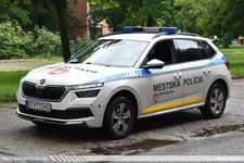 ska497.jpg