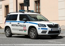 ska601.jpg