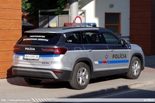 ska612.jpg