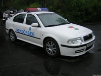 skoda023.jpg