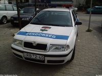 skoda128.jpg