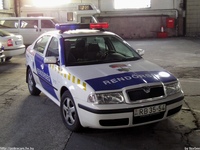 skoda174.jpg