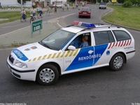 skoda220.jpg