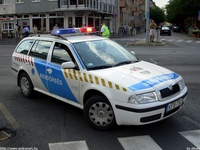 skoda236.jpg