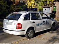 skoda240.jpg