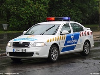 skoda556.jpg