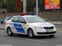 skoda559.jpg