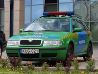 skoda569.jpg