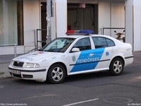 skoda574.jpg