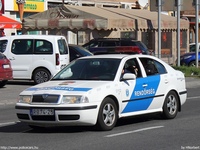 skoda575.jpg