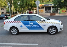 skoda665.jpg