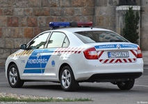 skoda666.jpg