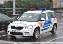 skoda699.jpg