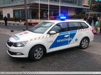 skoda754.jpg
