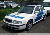 skoda874.jpg