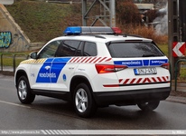skoda891.jpg