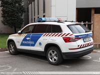 skoda943.jpg