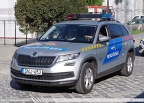 skoda991.jpg