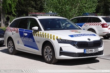 skoda993.jpg