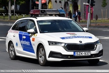 skoda994.jpg