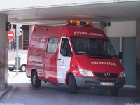sp016.jpg