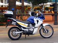 sp059.jpg