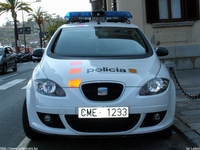 sp155.jpg